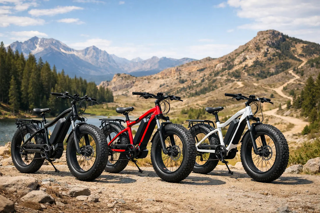 Fat Tire Ebikes Comparison for Every Trail