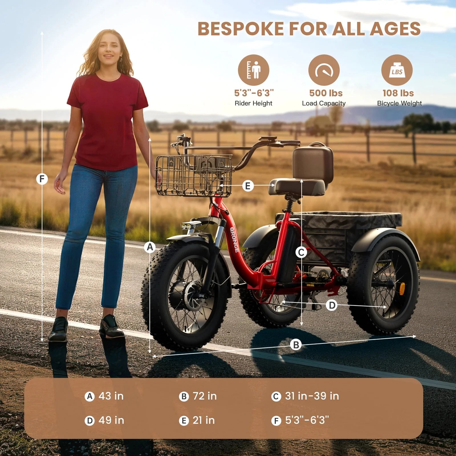 Folding Electric Trike 960W — 50 Mile Range