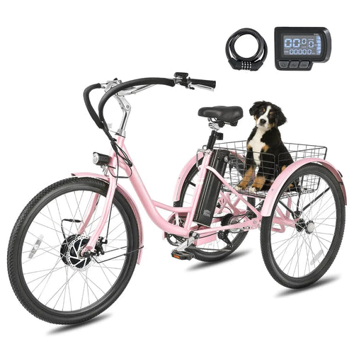 Electric Tricycle 500W — Stable & Easy to Ride