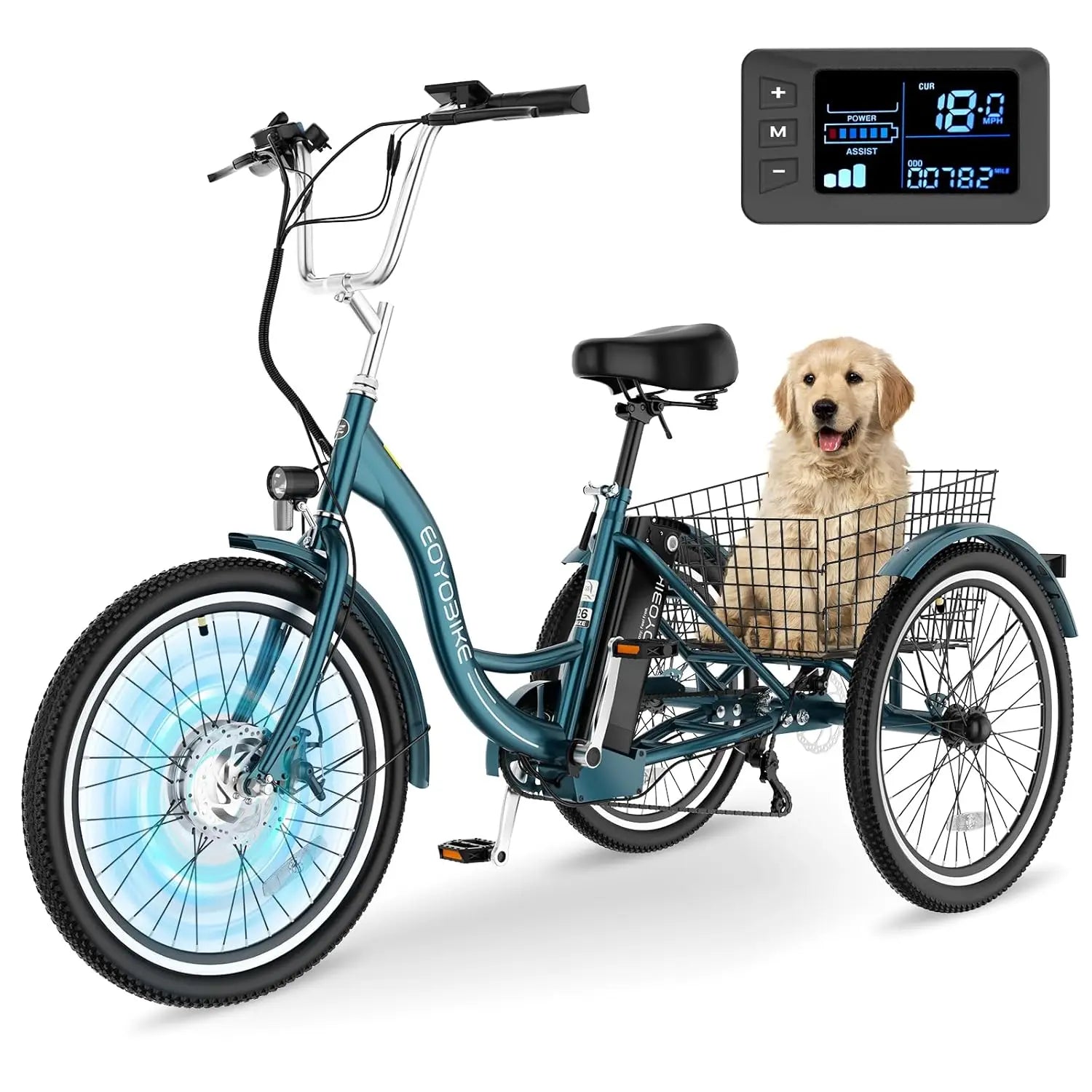 Electric Tricycle 350W 36V