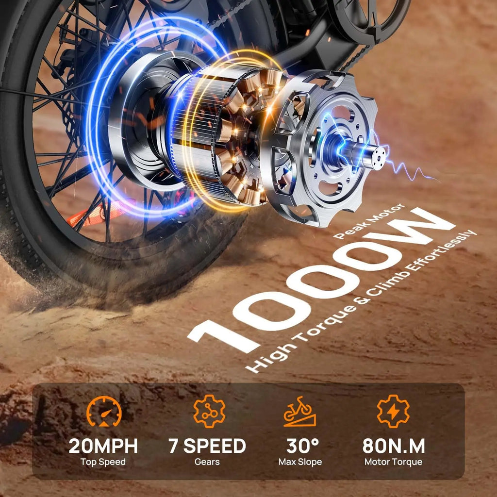 1000W Fat Tire Electric Bike 48V 13Ah Removable Battery