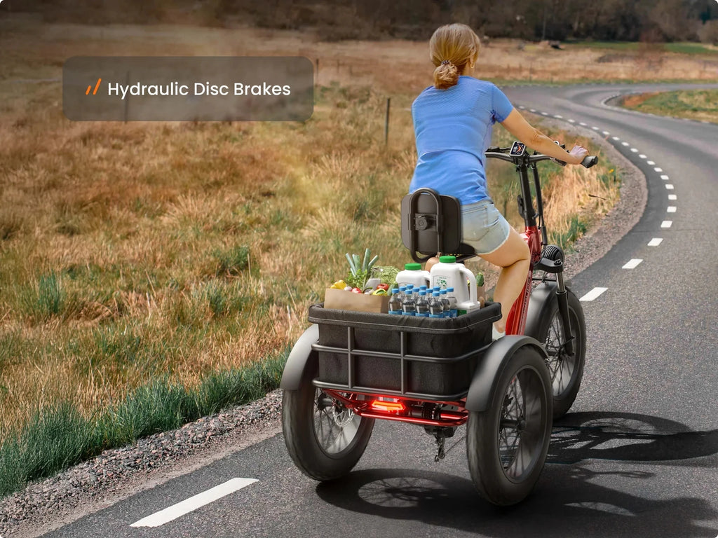 Husky Electric Trike 960W