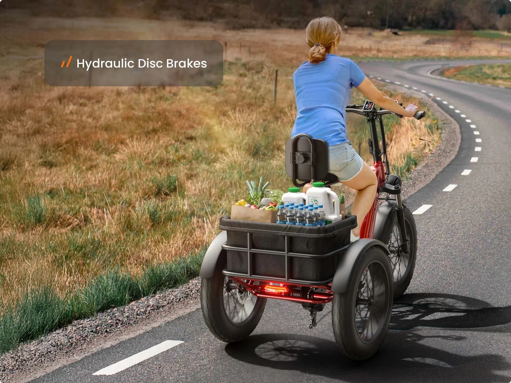 Husky Electric Trike 960W