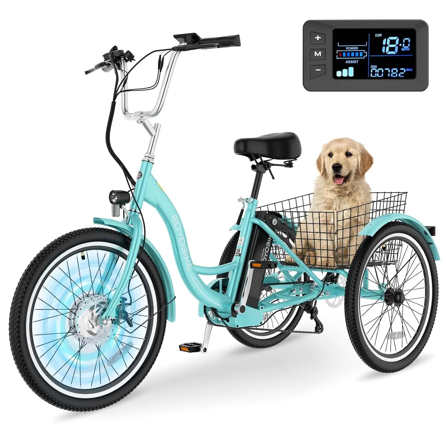 Electric Tricycle 350W 36V