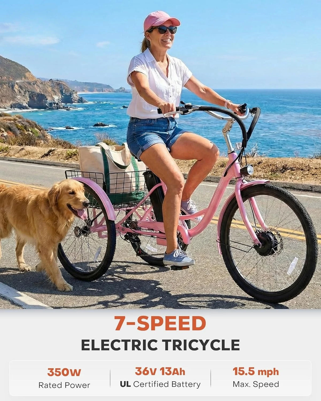 Electric Tricycle 500W — Stable & Easy to Ride