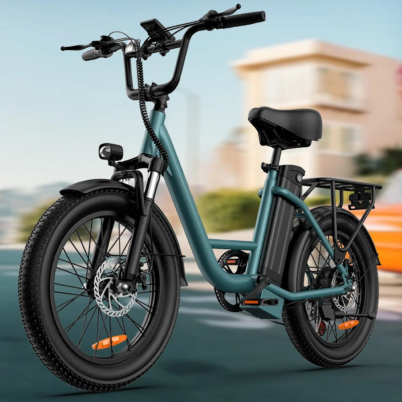 1000W Fat Tire Electric Bike 48V 13Ah Removable Battery