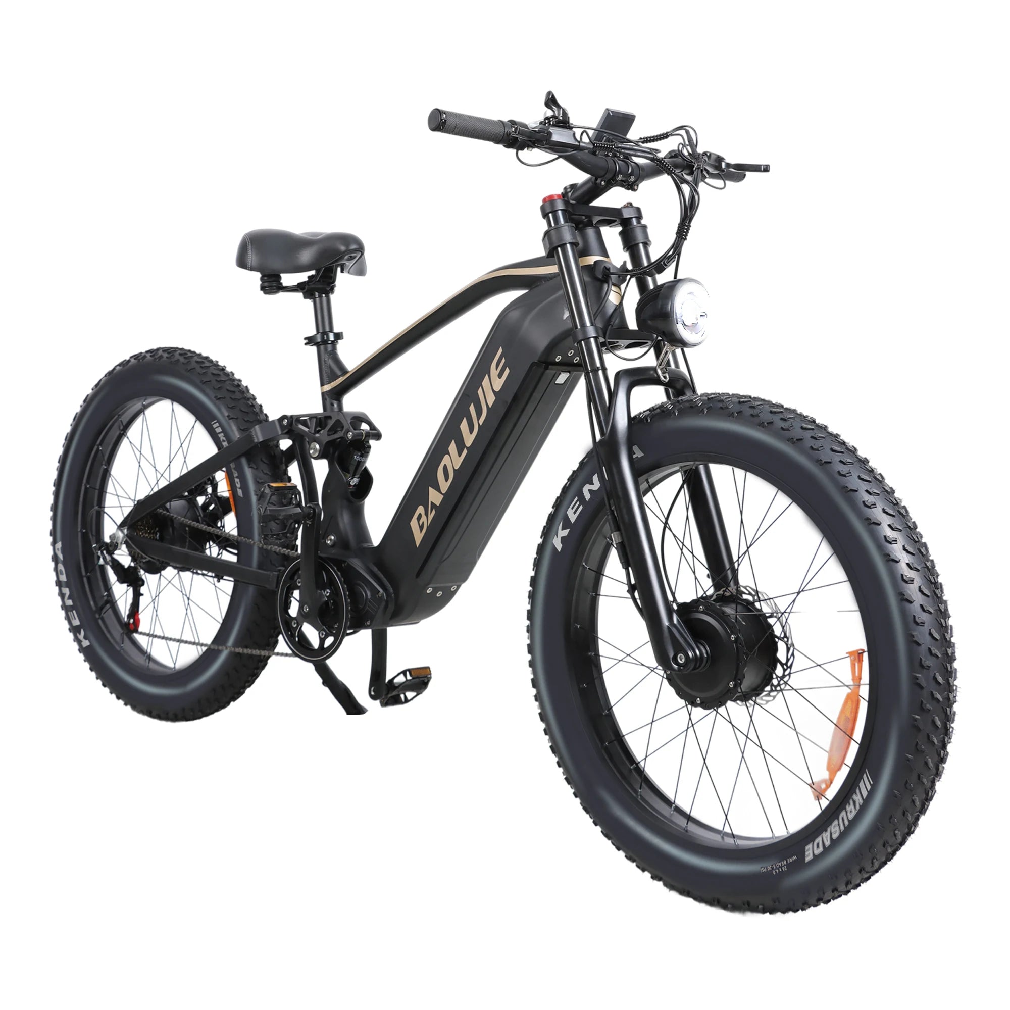 Adults Electric Bike 5000W Peak Dual Motors