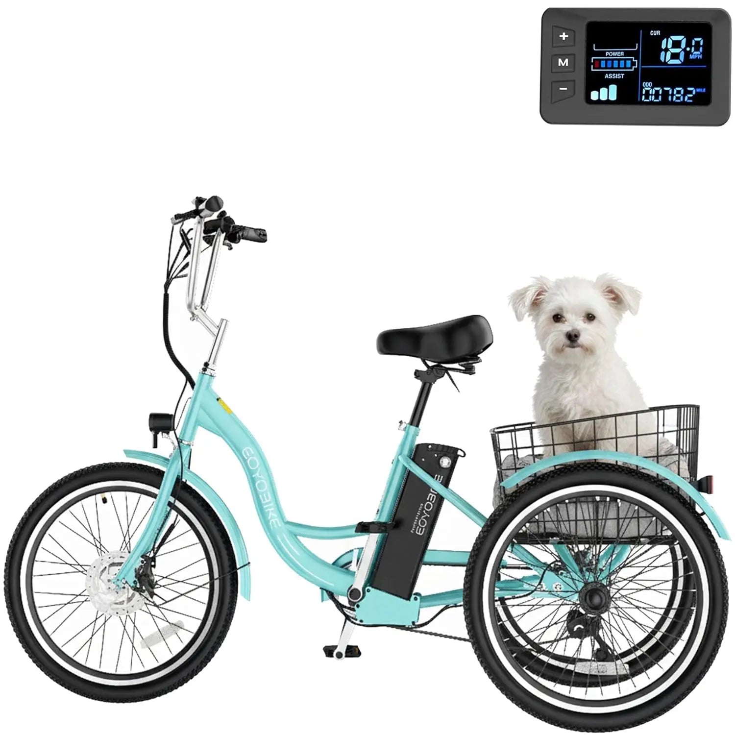 Electric Tricycle 350W 36V